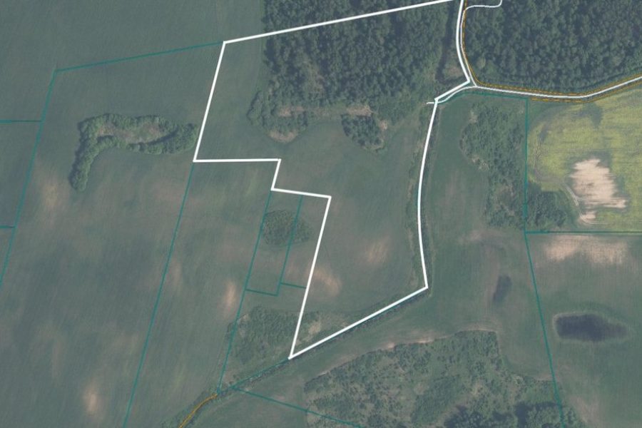 Žemės ūkio paskirties sklypas Vilniaus rajone, Pustilkos kaime